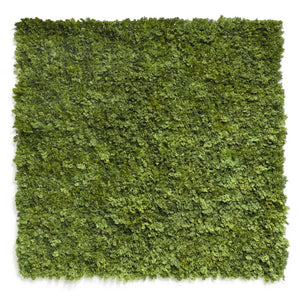 All artificial moss walls (including coloured moss)