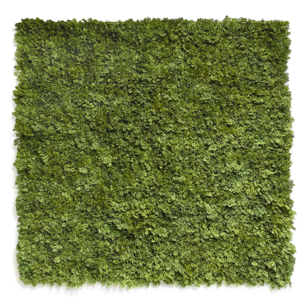 Square artificial moss panel, 100x100cm, bright green textured foliage