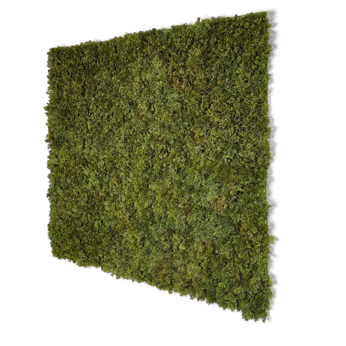 Artificial moss panel, 100x100cm, dark green square with shaggy texture