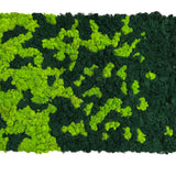 Premium preserved reindeer moss panel - faded light green to dark green  0.5 x 2.5M
