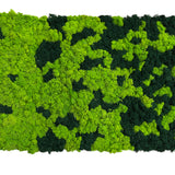 Premium preserved reindeer moss panel - faded light green to dark green  0.5 x 2.5M
