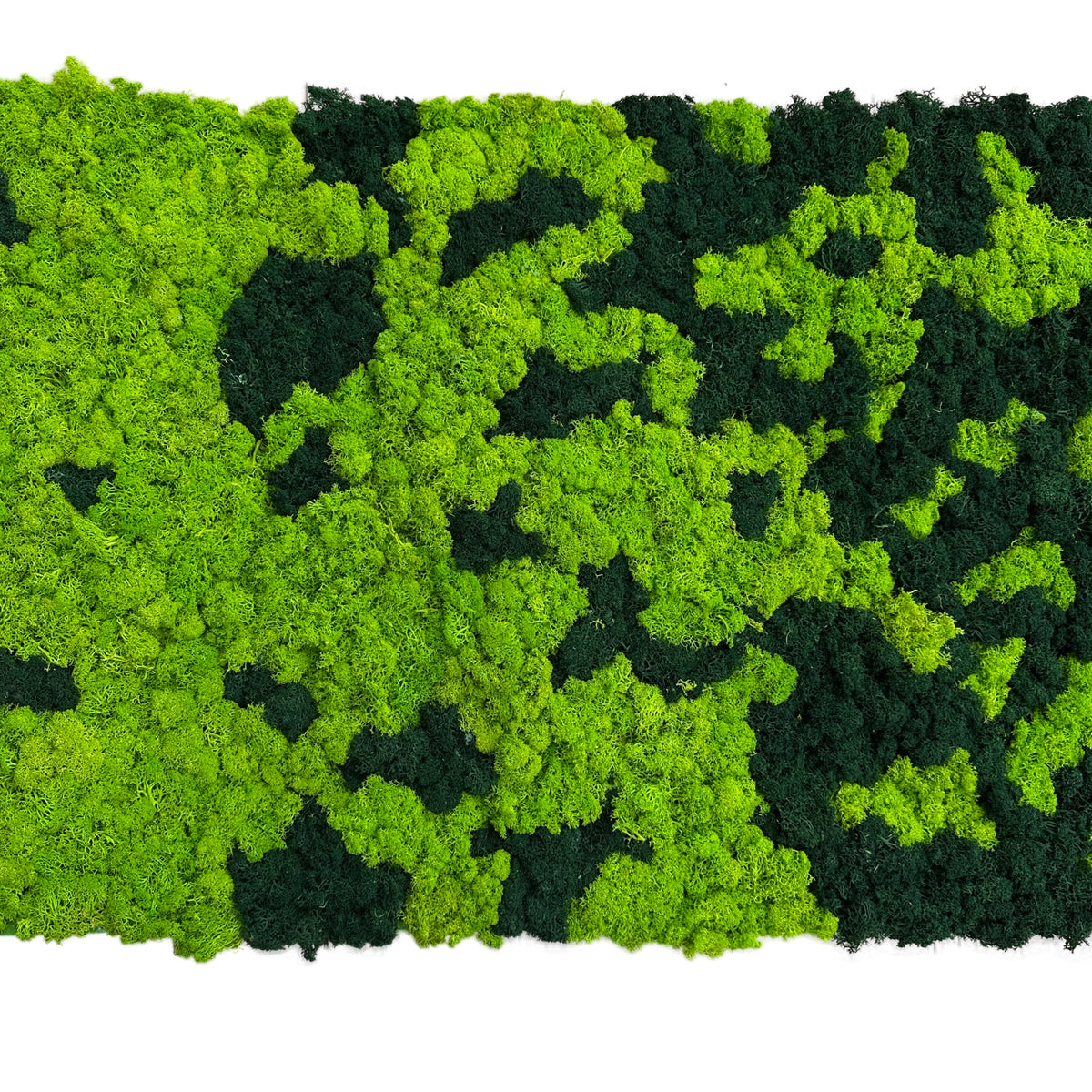 Preserved reindeer moss panel, lime green and dark green mottled texture.