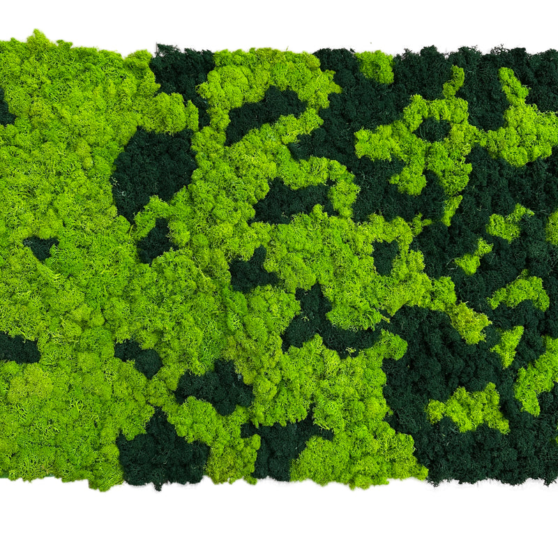 Preserved reindeer moss panel, lime green and dark green mottled texture.