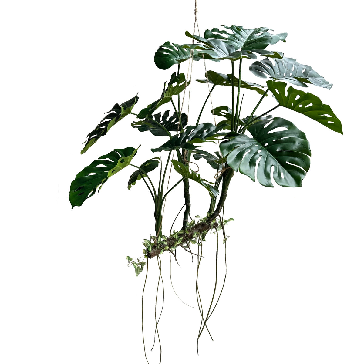 Artificial hanging monstera plant with broad green leaves and dangling stems