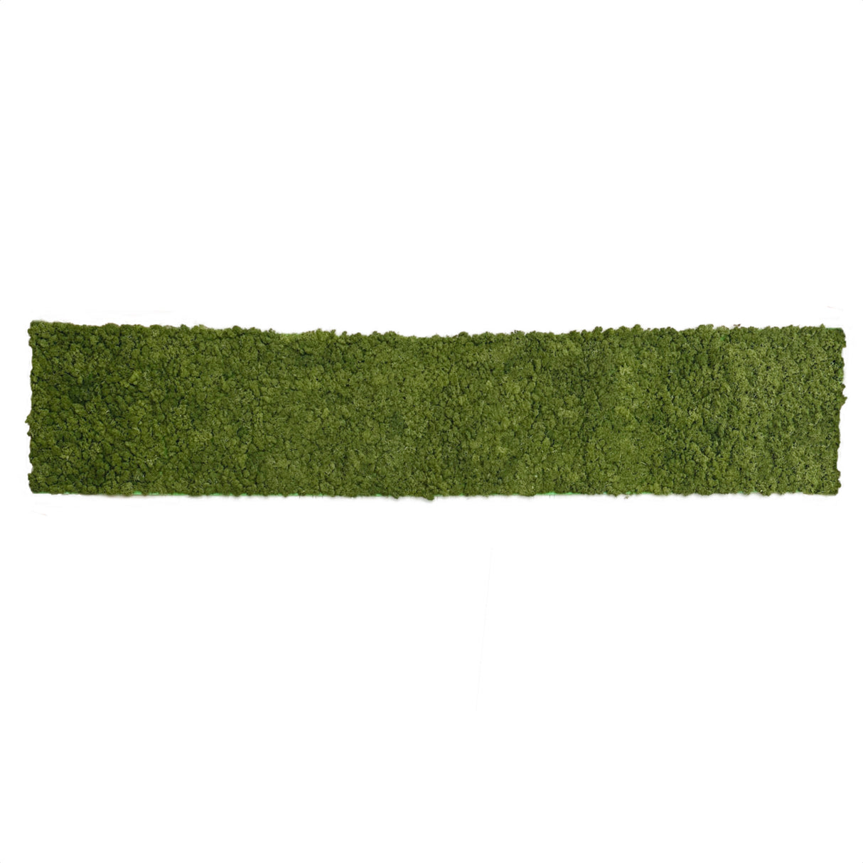 Premium preserved reindeer moss panel - Olive green 0.5 x 2.5M