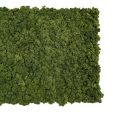 Premium preserved reindeer moss panel - Olive green 0.5 x 2.5M