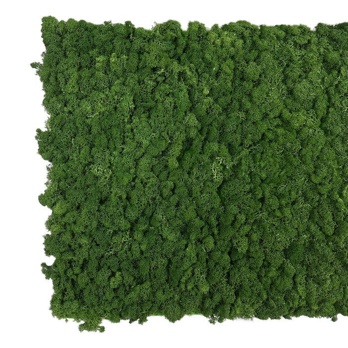Forest green preserved reindeer moss panel with dense flat coverage