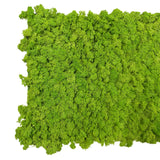 Premium preserved reindeer moss - light green 0.5 x 3m self adhesive panel