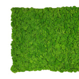 Premium preserved reindeer moss - spring  green 0.5 x 3m self adhesive panel