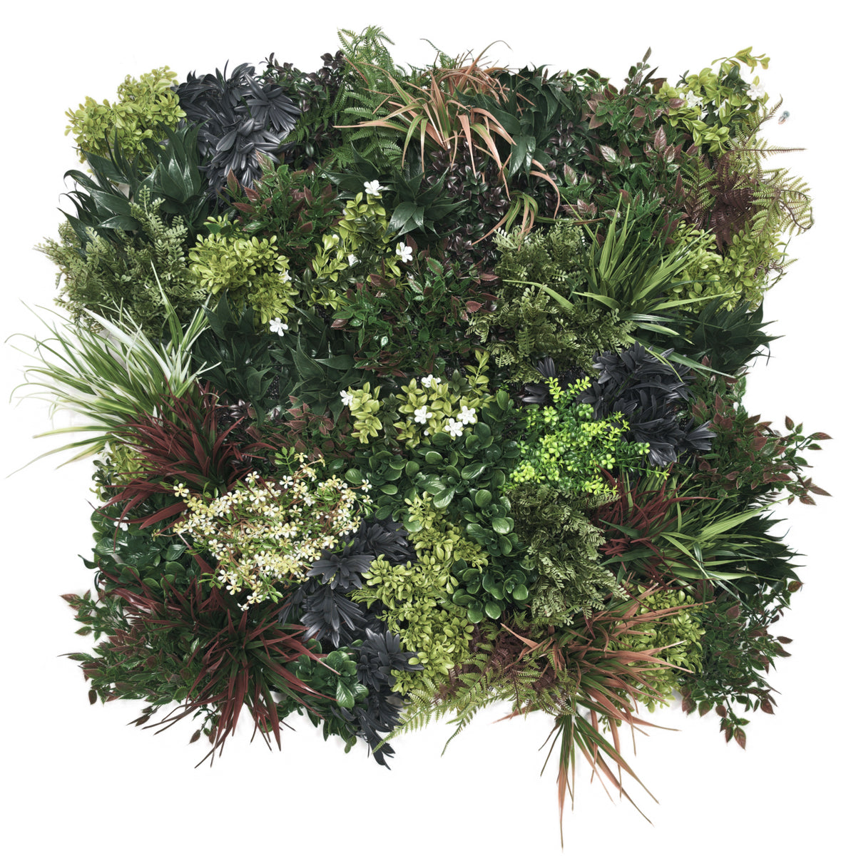 Premium realistic artificial 3D plant wall with green purple red and white foliage 80x80cm - PW02