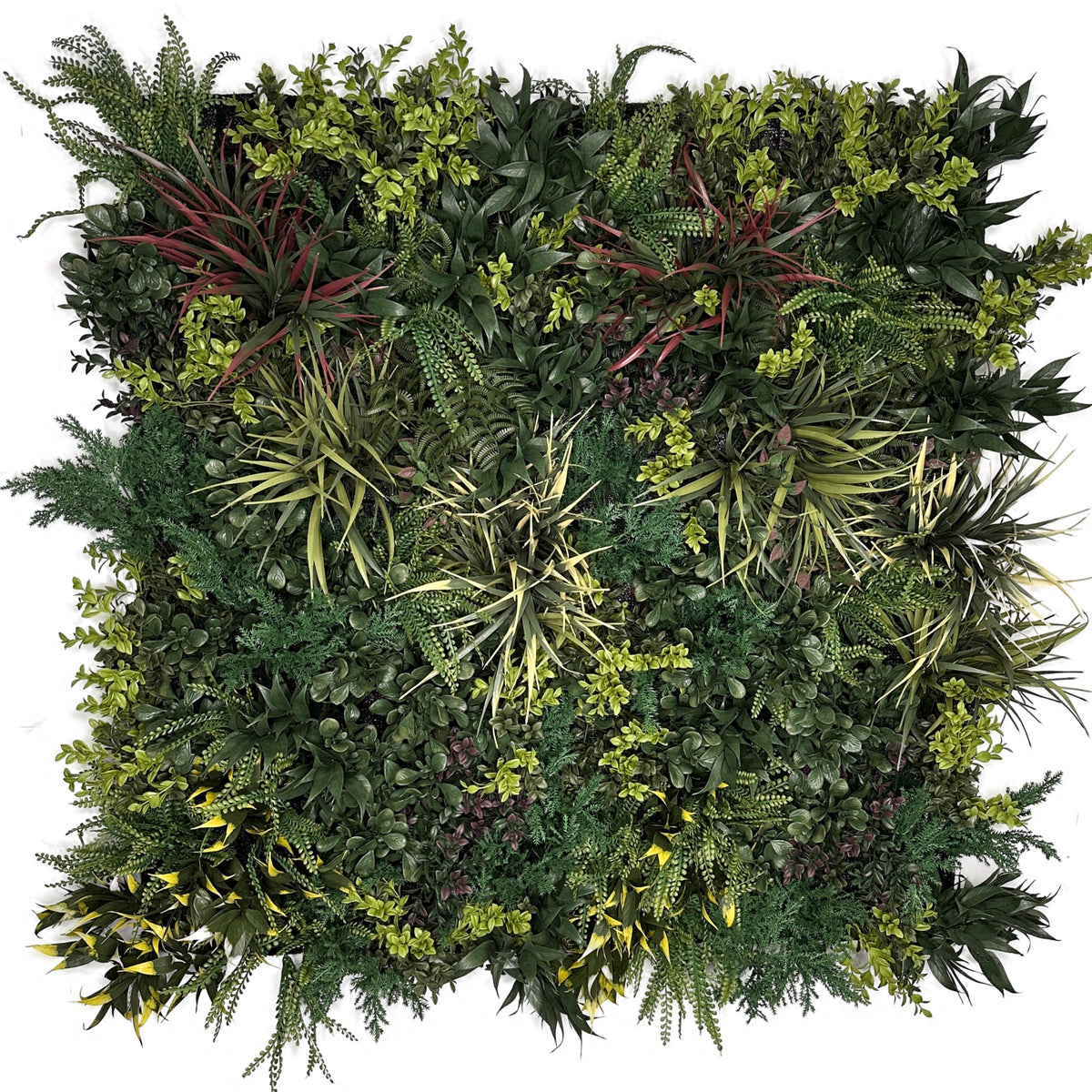 Artificial green foliage wall panel with mixed leaves and needle-like plants, square 100x100cm