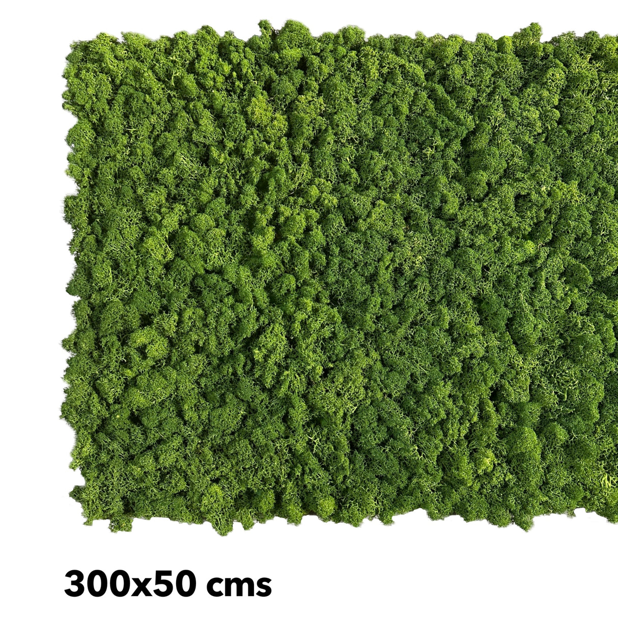 Premium preserved FR reindeer moss - dark green 0.5 x 3m self adhesive panel