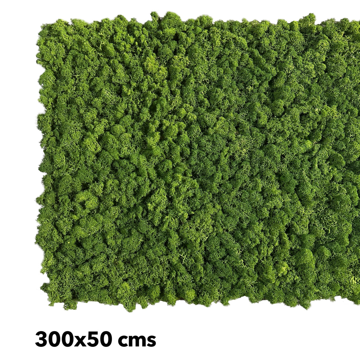 Premium preserved FR reindeer moss - dark green 0.5 x 3m self adhesive panel