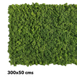 Premium preserved FR reindeer moss - dark green 0.5 x 3m self adhesive panel