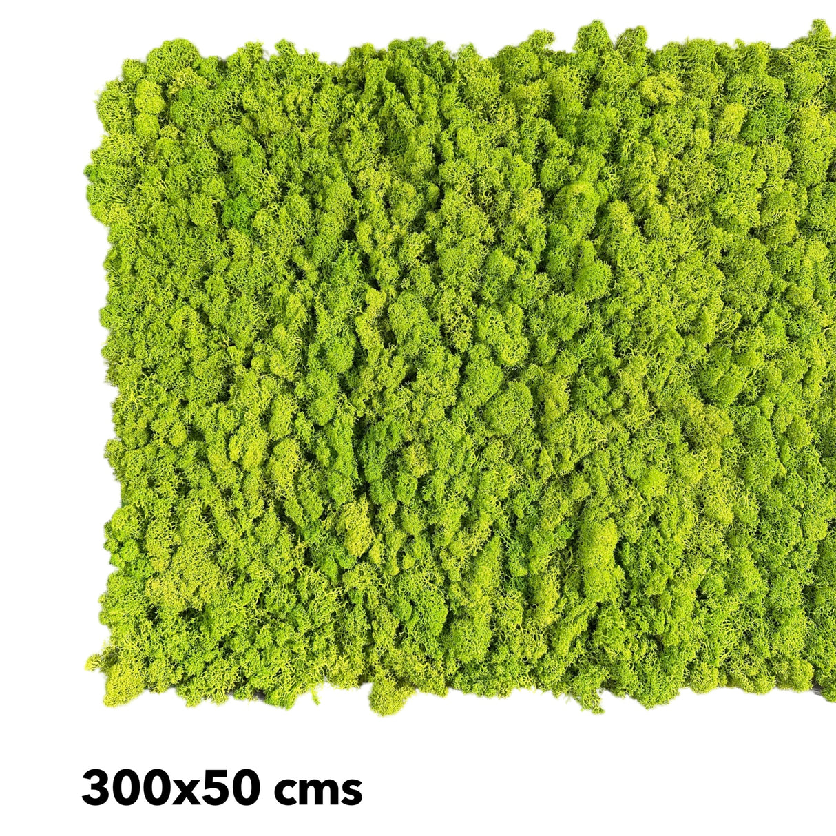 Premium preserved FR reindeer moss - light green 0.5 x 3m self adhesive panel