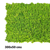 Premium preserved FR reindeer moss - spring  green 0.5 x 3m self adhesive panel