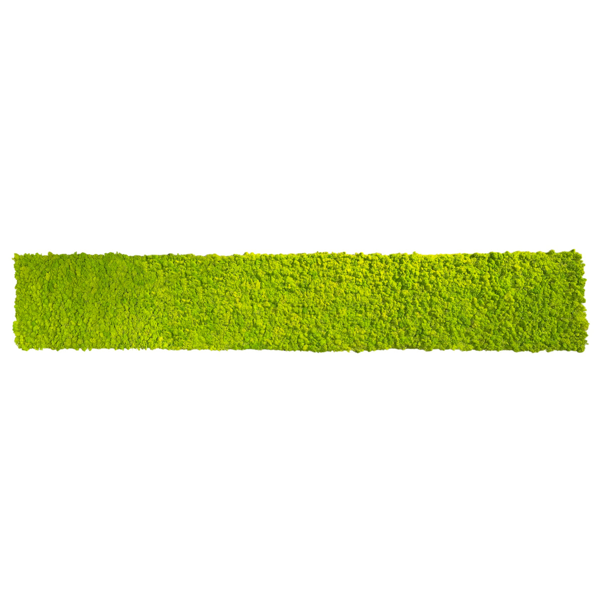 Light green preserved reindeer moss self-adhesive panel strip, rectangular shape