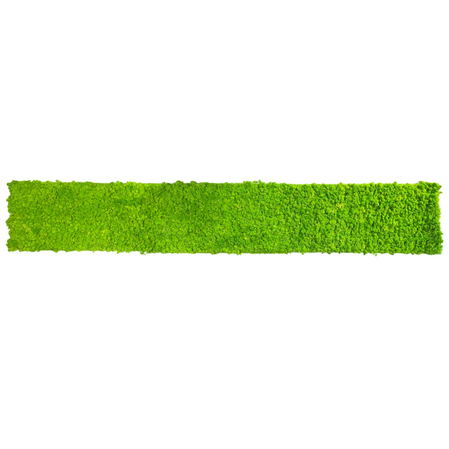 Premium preserved reindeer moss - spring  green 0.5 x 3m self adhesive panel