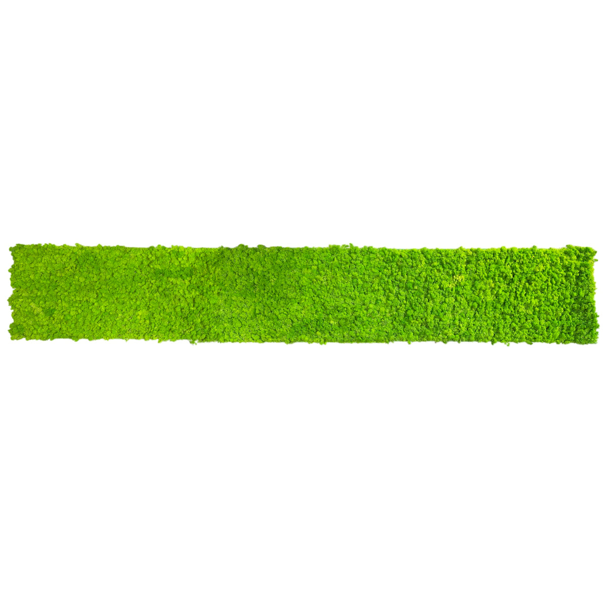 Green preserved reindeer moss strip panel with dense textured surface