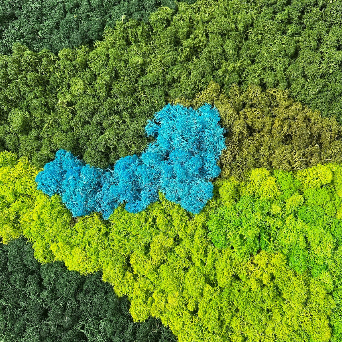 Preserved moss texture panel, mixed green and blue patches with pebbled surface