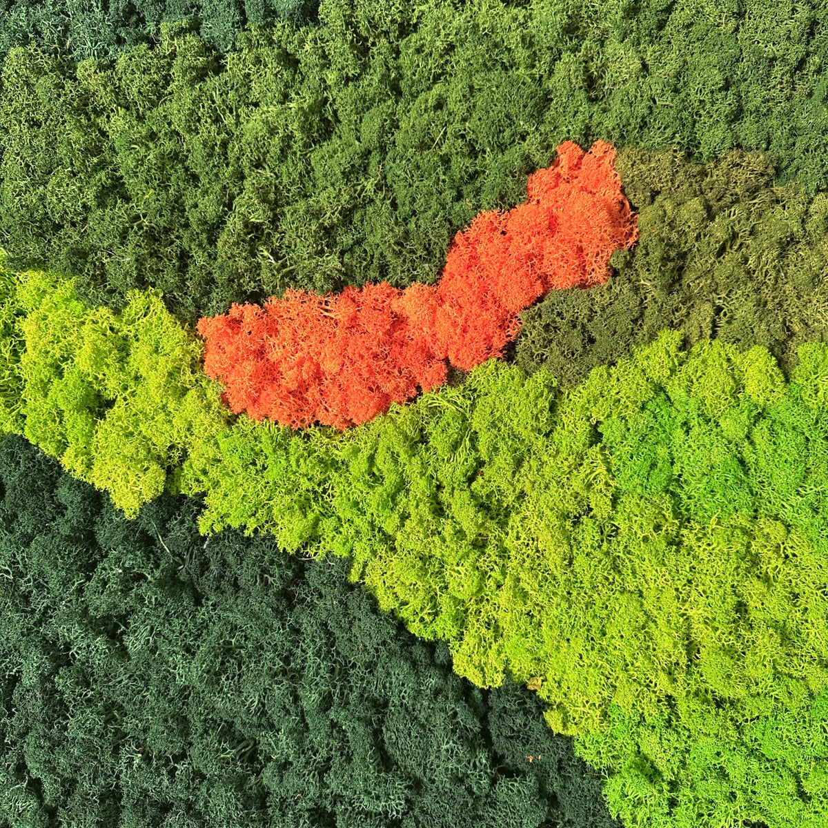 Preserved reindeer moss panel close-up with lime green texture and a central orange moss patch.