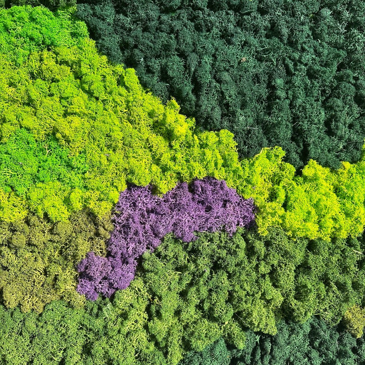 Preserved reindeer moss panel with layered green, lime, and purple textured waves