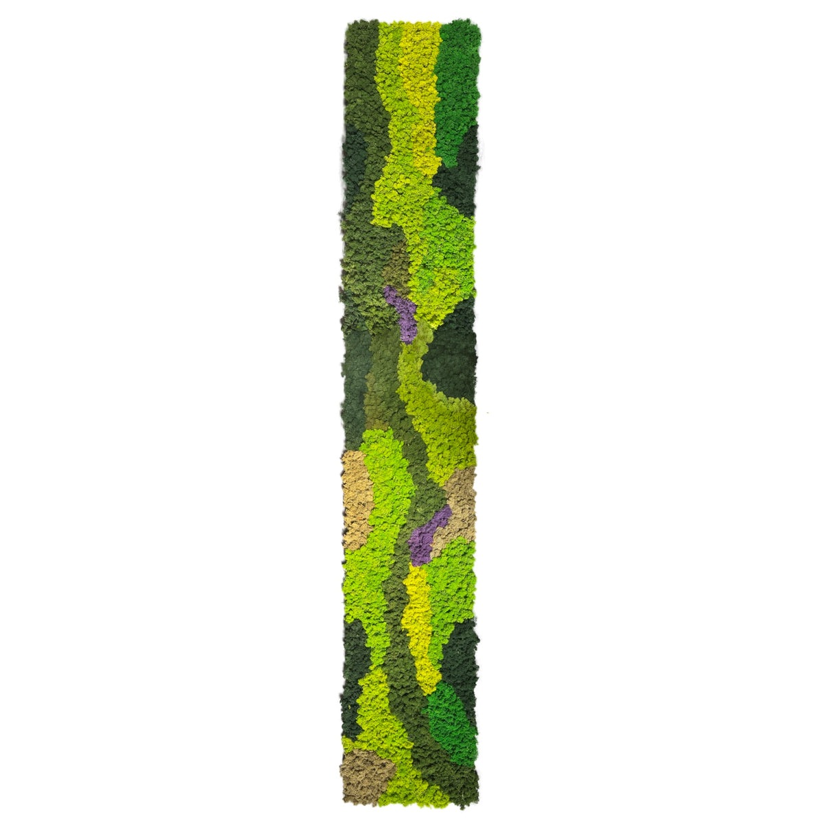 Preserved reindeer moss panel, vertical strip with green and lime color blocks and purple spots