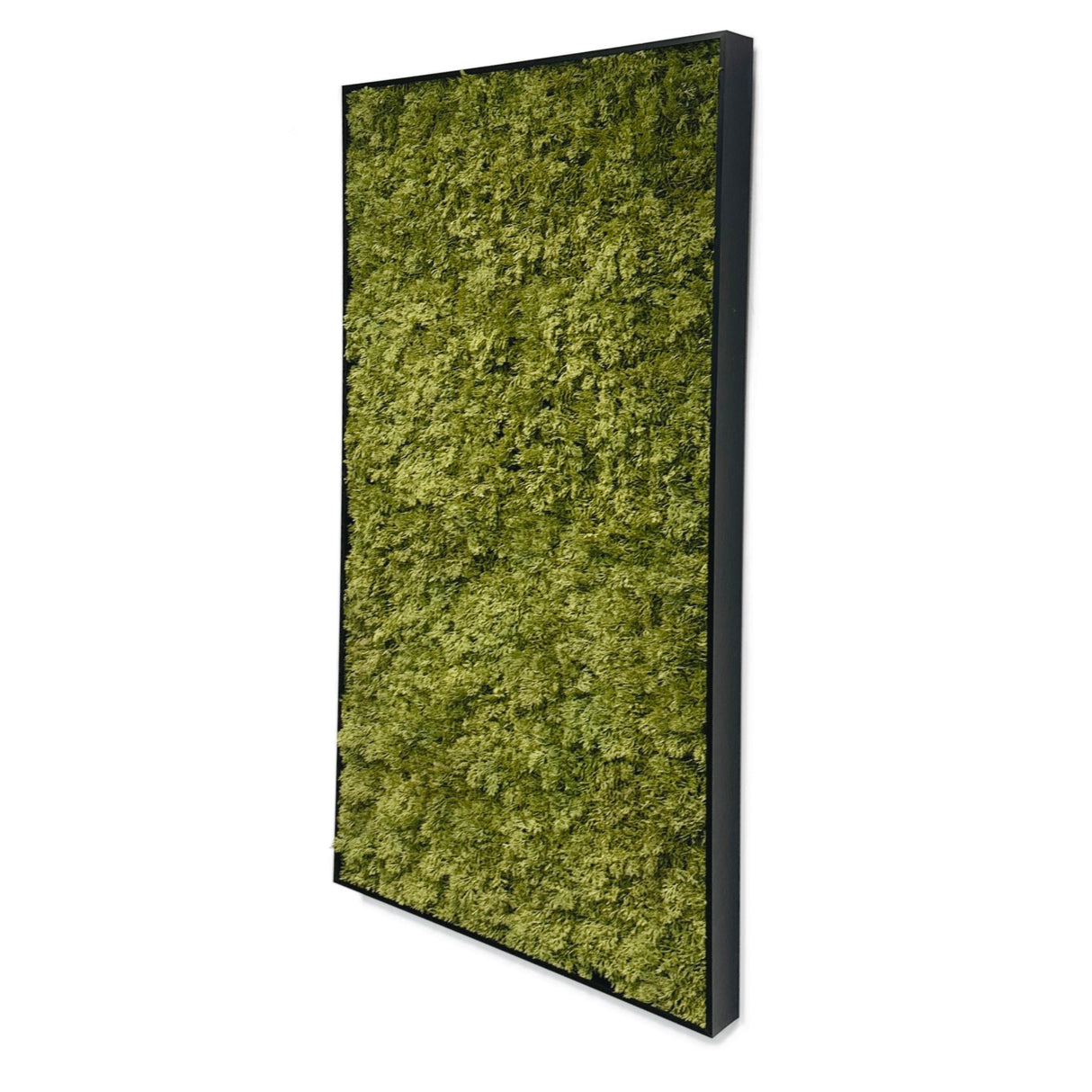 Artificial reindeer moss wall rectangle art panel aluminium black - 2 x 100x50cm frames