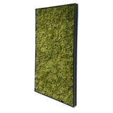 Artificial reindeer moss wall rectangle art panel aluminium black - 2 x 100x50cm frames