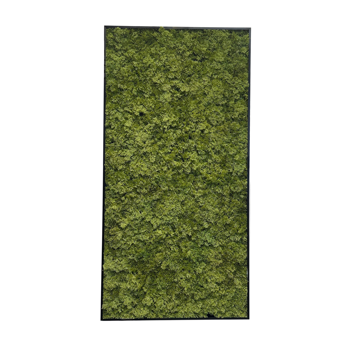 Artificial reindeer moss wall rectangle art panel aluminium black - 100x50cm
