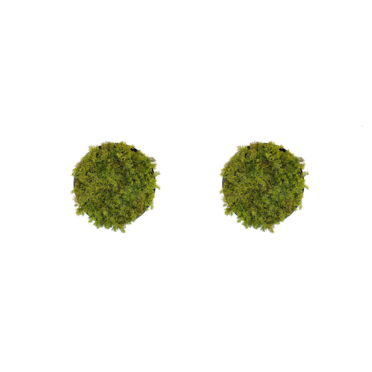 Artificial reindeer moss wall circular art panel MDF Black x 2 - 30cm