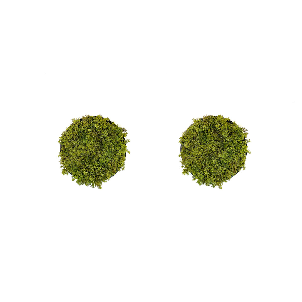 Circular artificial moss wall art panels, green set of two