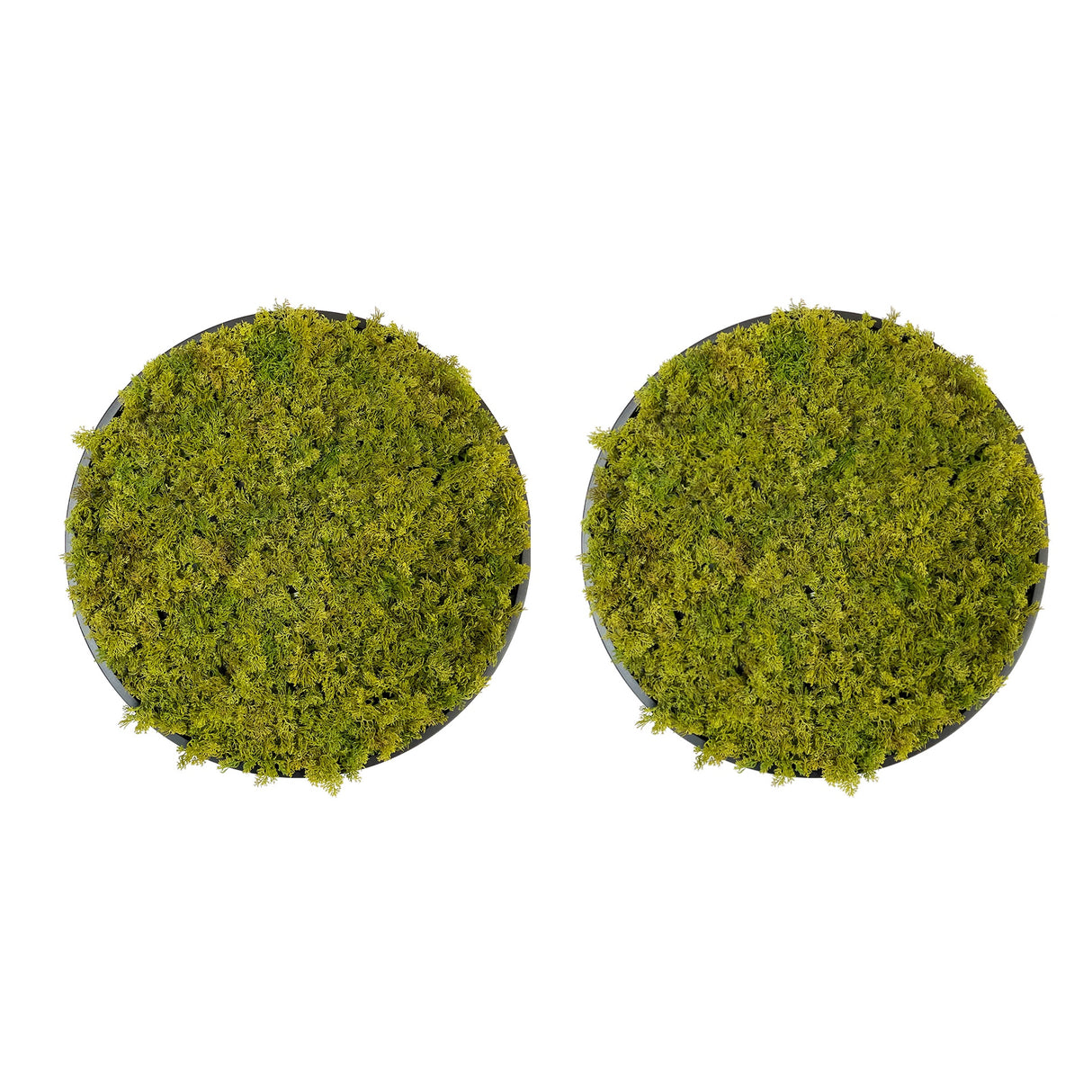 Artificial reindeer moss wall circular art panel MDF Black x 2 - 50cm