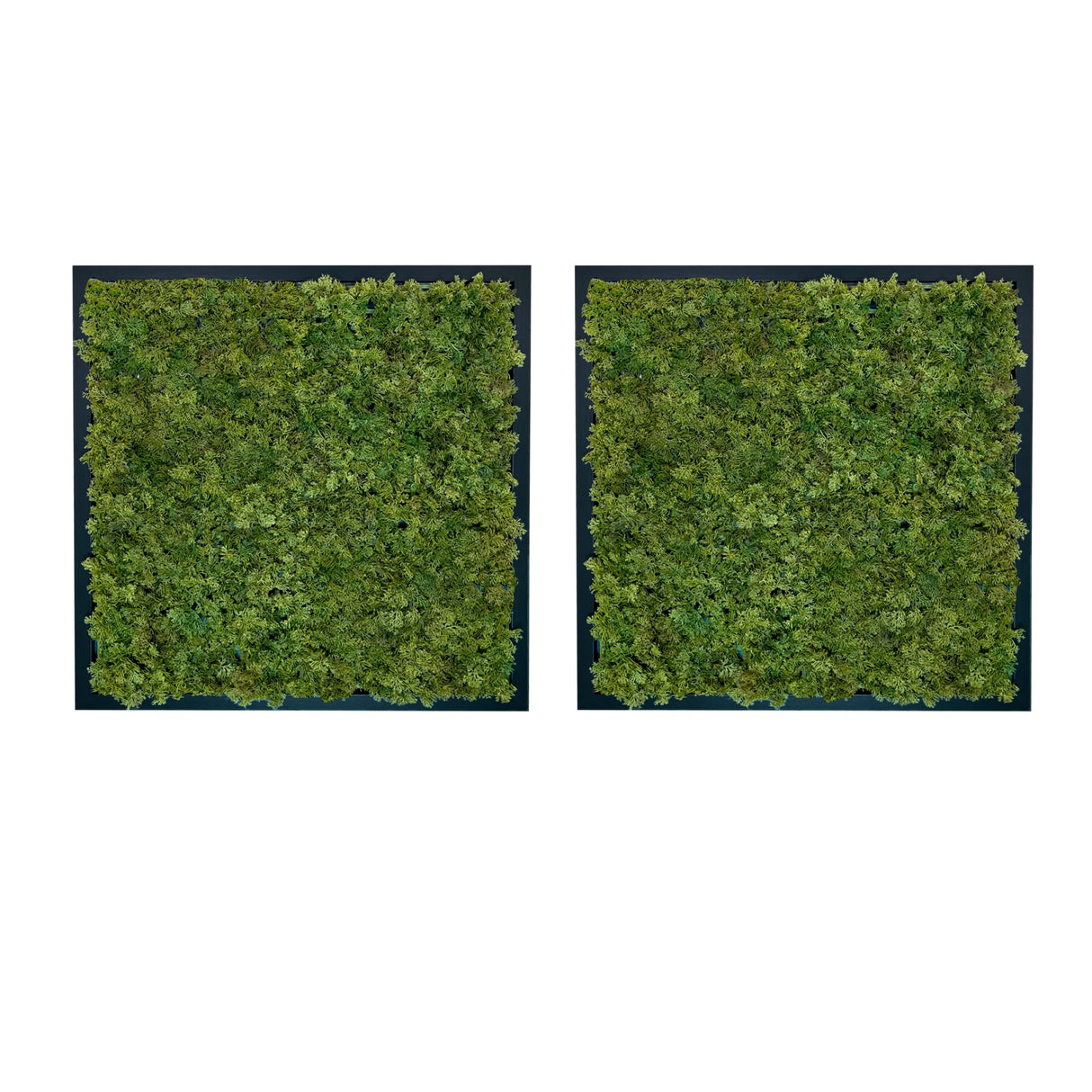 Artificial reindeer moss wall square art panel MDF Black x 2 - 50cm