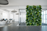 Artificial 3D plant wall with tropical light and dark green foliage 100x50cm