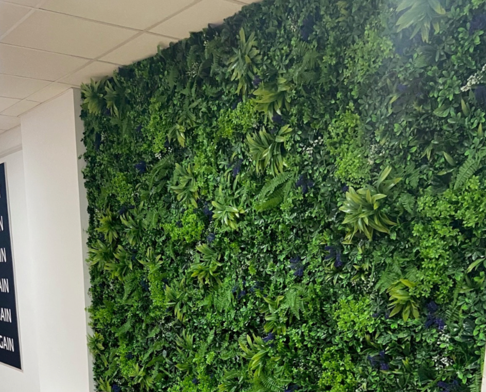 Artificial green wall panel with scheffleras, dracaenas  and purple speedwells 100x100 cm
