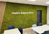 Artificial  FR mixed green reindeer moss panel - fire retardant - UV stable 100X 100cm