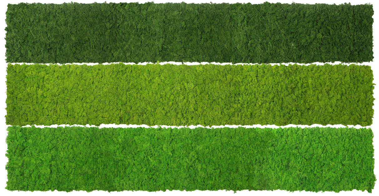Preserved reindeer moss panel - light green 0.5 x 3m self adhesive back