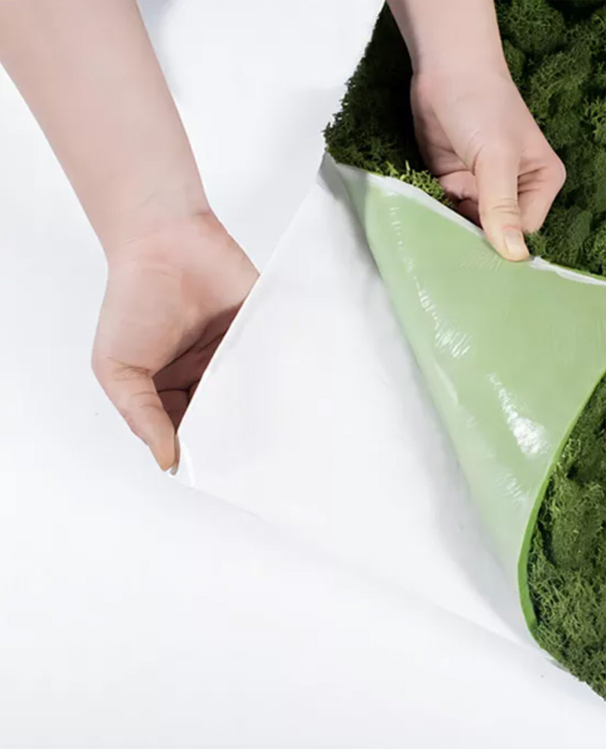 Self-adhesive reindeer moss wall panel peeled from protective backing