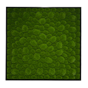 Artificial & preserved moss frames