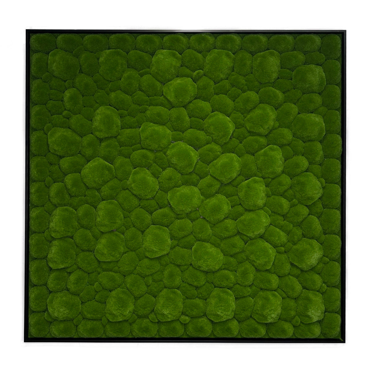 Artificial bun moss wall square art panel black aluminium - 100x100cm