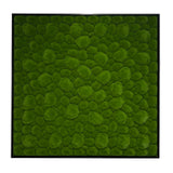 Artificial bun moss wall square art panel black aluminium - 100x100cm