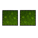 Artificial bun moss wall square art panels black aluminium - 2 x 50cm panels