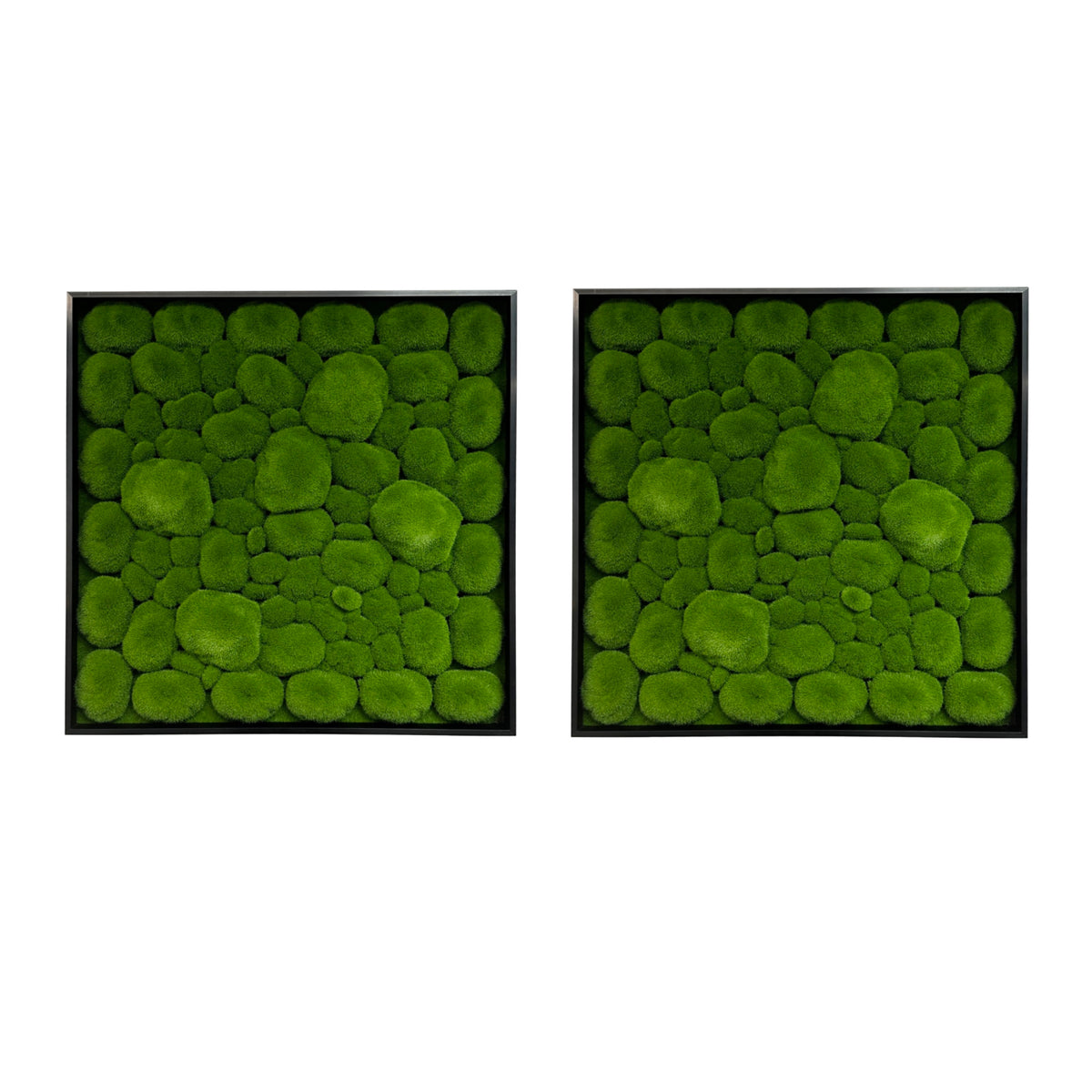 Artificial bun moss wall art panels, two square green panels with black aluminium frames