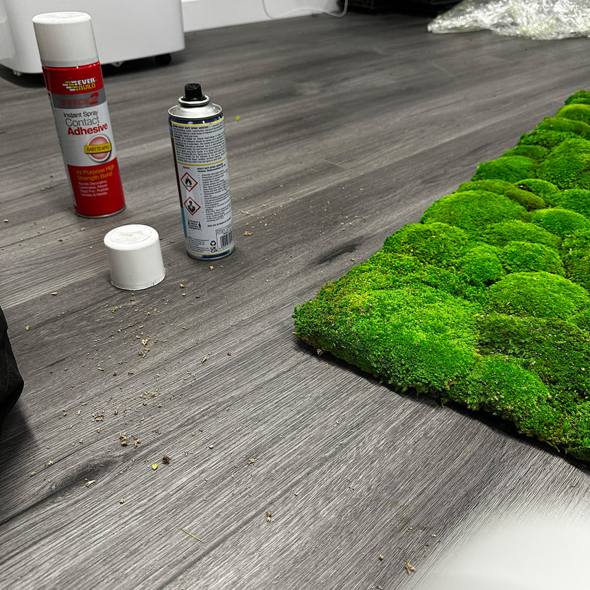 Preserved moss repair – greenplantwalls.co.uk