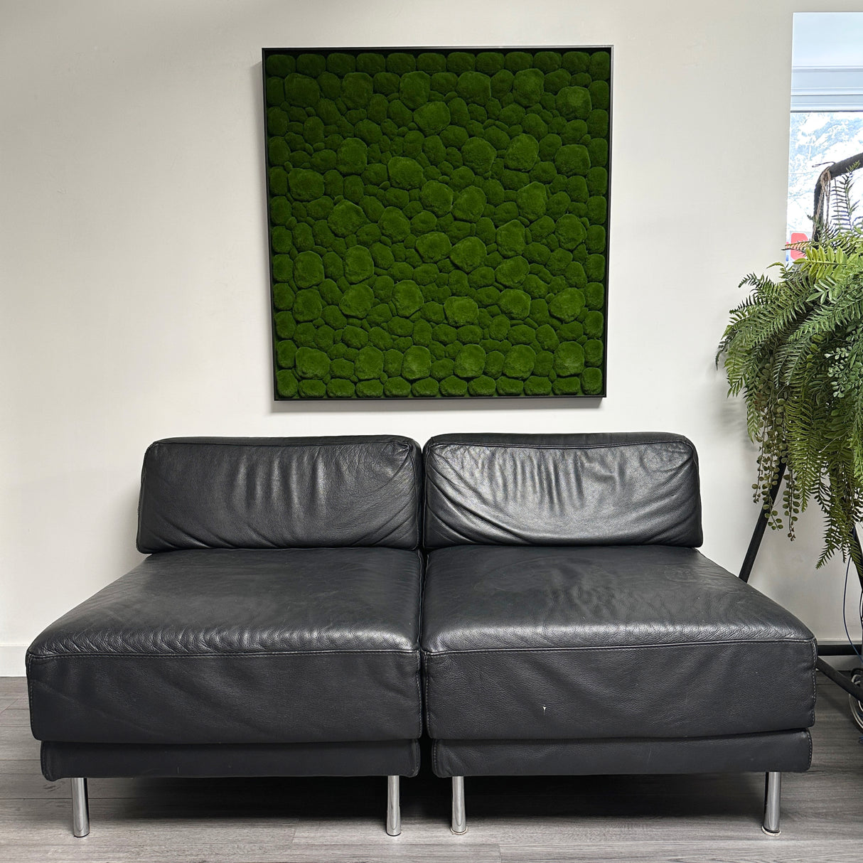 Artificial bun moss wall square art panel black aluminium - 100x100cm