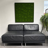 Artificial bun moss wall square art panel black aluminium - 100x100cm