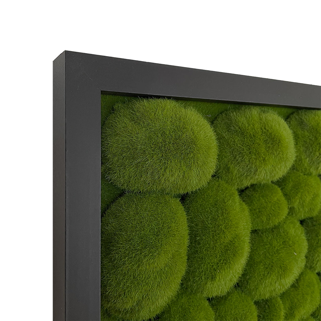 Artificial bun moss wall square art panel black mdf - 50cm