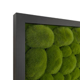 Artificial bun moss wall square art panel black mdf - 50cm