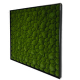 Artificial bun moss wall square art panel black aluminium - 100x100cm